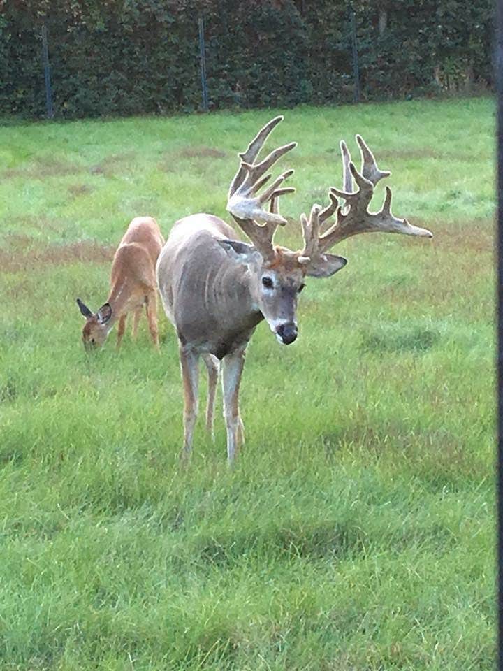 Camper submitted image from Oxbow County Park - 3