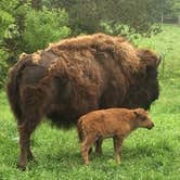 Review photo of Oxbow County Park by Ash V., August 21, 2018