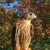 Review photo of Oxbow County Park by Ash V., August 21, 2018