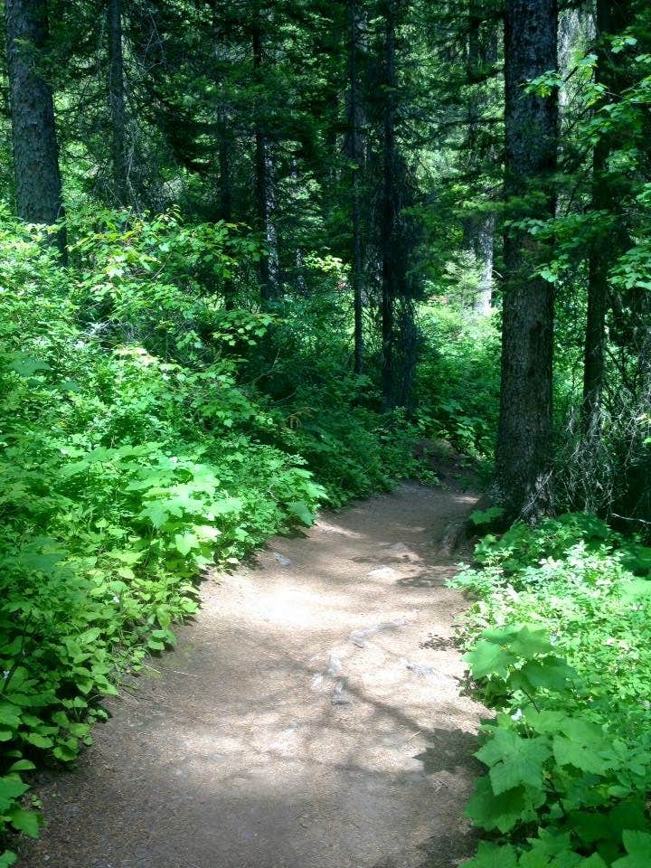 Camper submitted image from Lake Alva Campground - 5