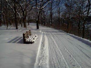 Camper-submitted photo at Chester Woods Park near Plainview, MN