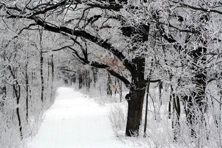 Camper-submitted photo at Chester Woods Park near Plainview, MN