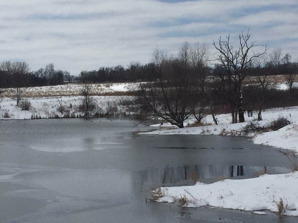 Camper-submitted photo at Chester Woods Park near Plainview, MN