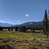 Review photo of Tuolumne Meadows Campground — Yosemite National Park by Celeste W., August 22, 2018