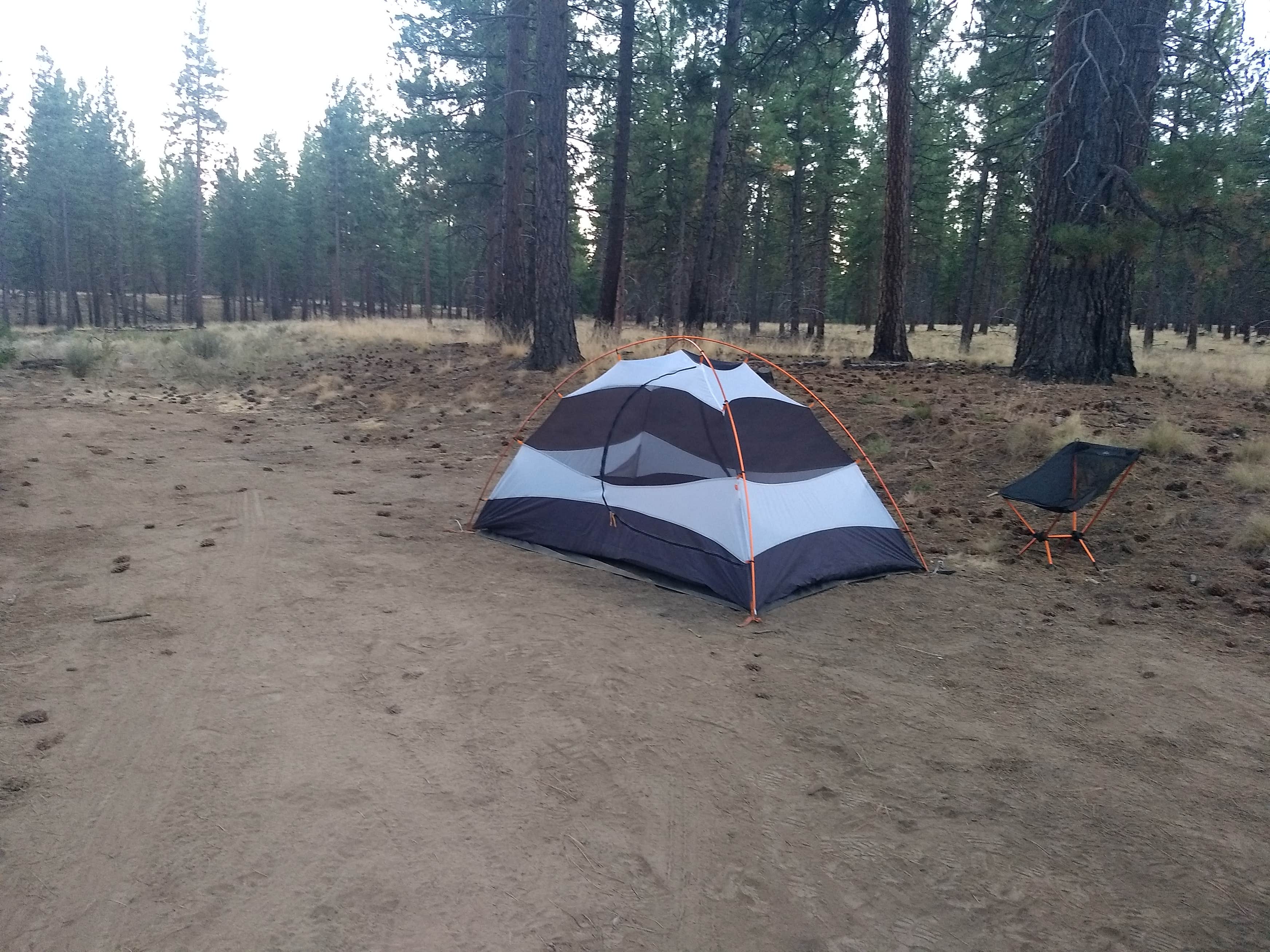 Deschutes National Forest Dispersed Camping The Dyrt