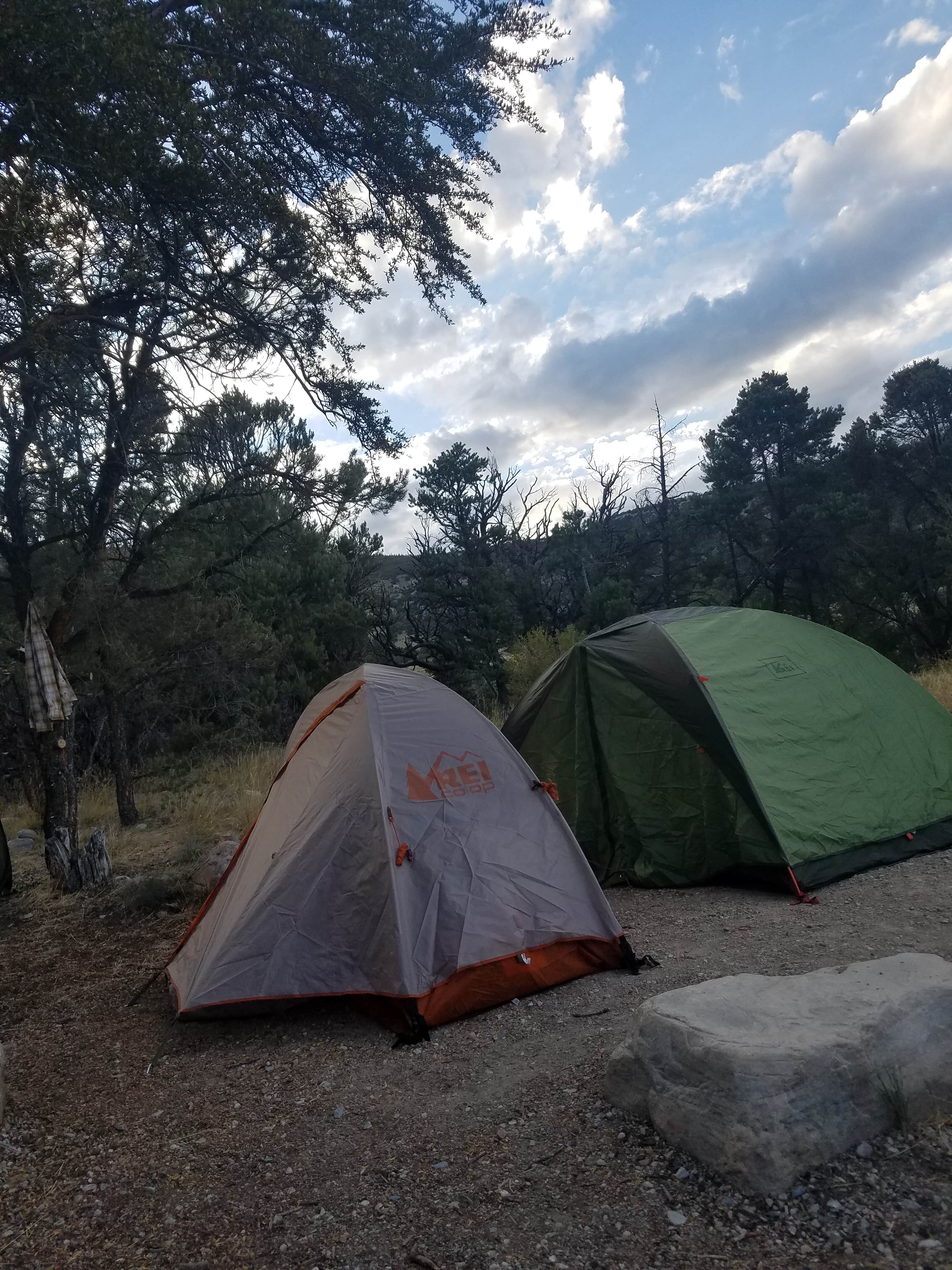 Vikki Z.'s photo at Baker Creek Campground — Great Basin National Park near Baker, NV