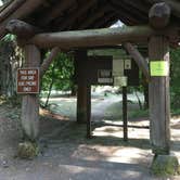 Review photo of Blue Pool — Willamette National Forest by Kelly N., August 22, 2018