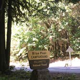 Review photo of Blue Pool — Willamette National Forest by Kelly N., August 22, 2018