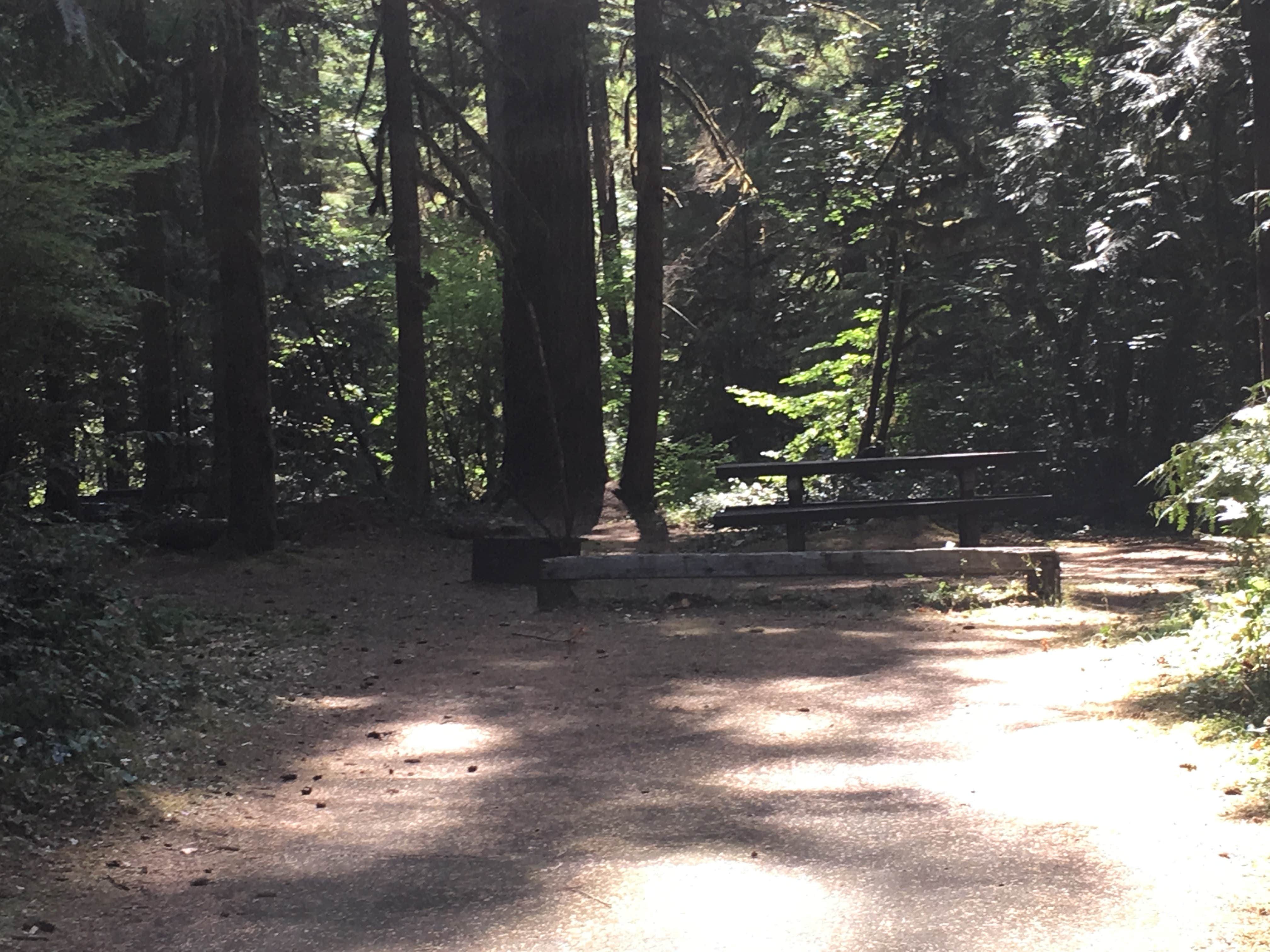 Camper-submitted photo at Blue Pool — Willamette National Forest near Oakridge, OR