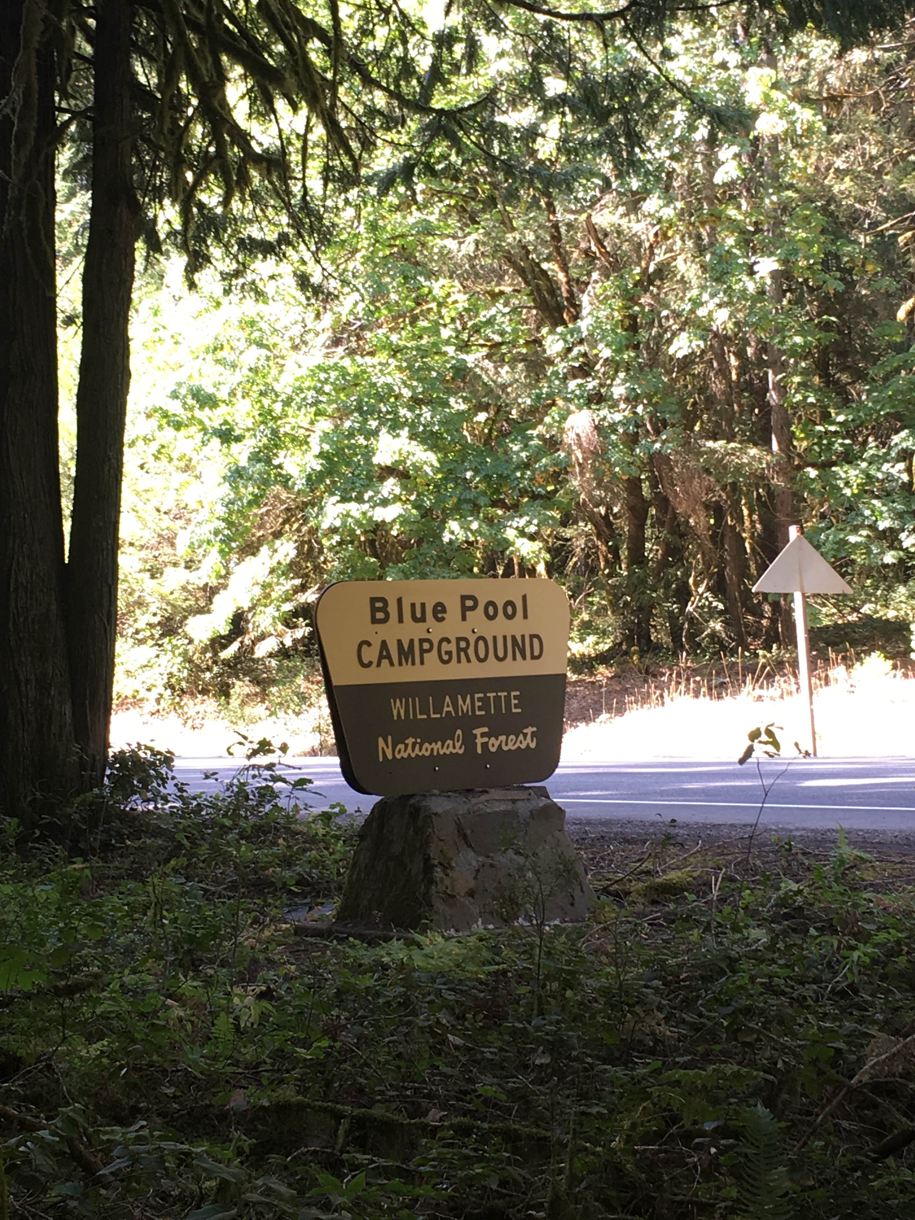 Camper-submitted photo at Blue Pool — Willamette National Forest near Oakridge, OR