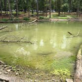 Review photo of Lake Livingston State Park Campground by Rachel W., August 22, 2018