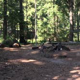 Review photo of Princess Creek Campground by Kelly N., August 22, 2018