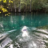 Review photo of Manatee Springs State Park Campground by Ashley F., August 22, 2018