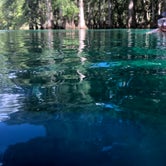 Review photo of Manatee Springs State Park Campground by Ashley F., August 22, 2018