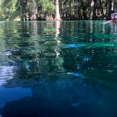 Review photo of Manatee Springs State Park Campground by Ashley F., August 22, 2018