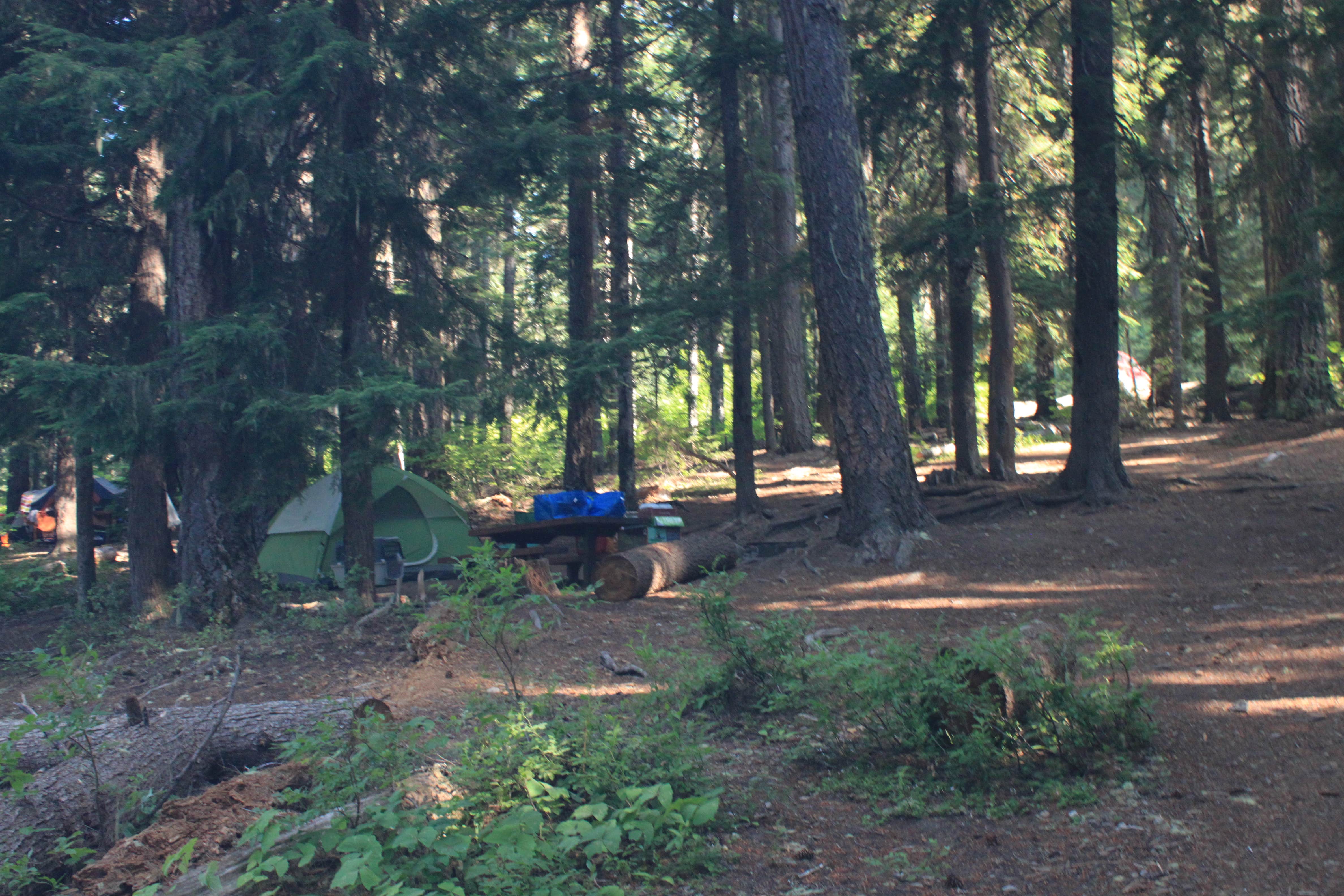 Megan C.'s photo at Owhi Campground near Snoqualmie Pass, WA
