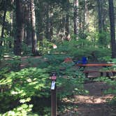 Review photo of Owhi Campground by Megan C., August 22, 2018