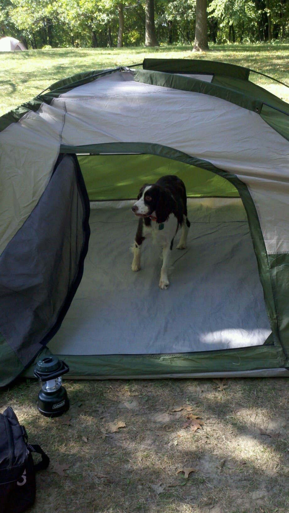 Kayla N.&#x27;s photo at Yellow Banks County Park in Iowa