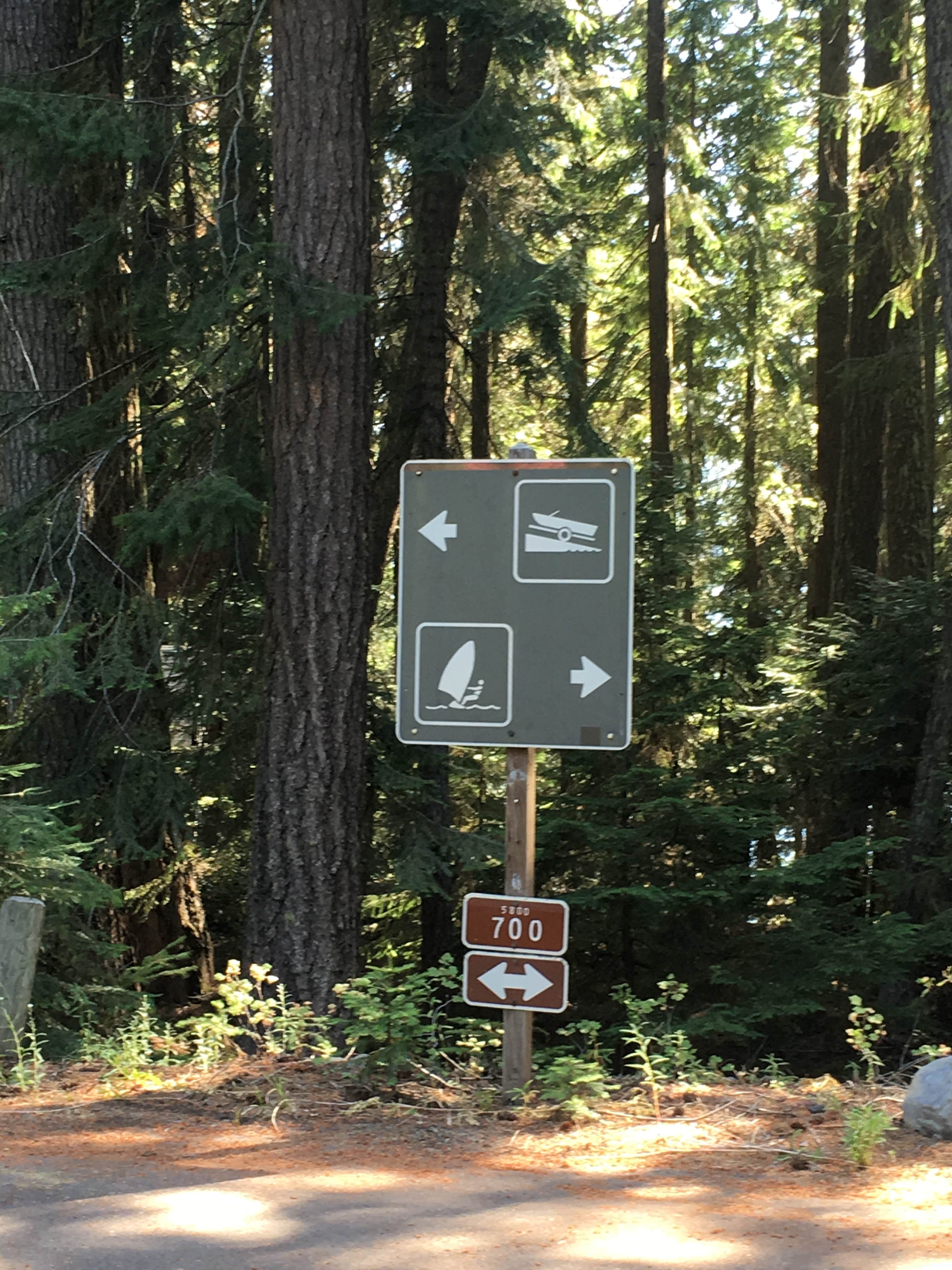 Escape to Oregon's Shady Haven: Your Unforgettable Campground Adventure