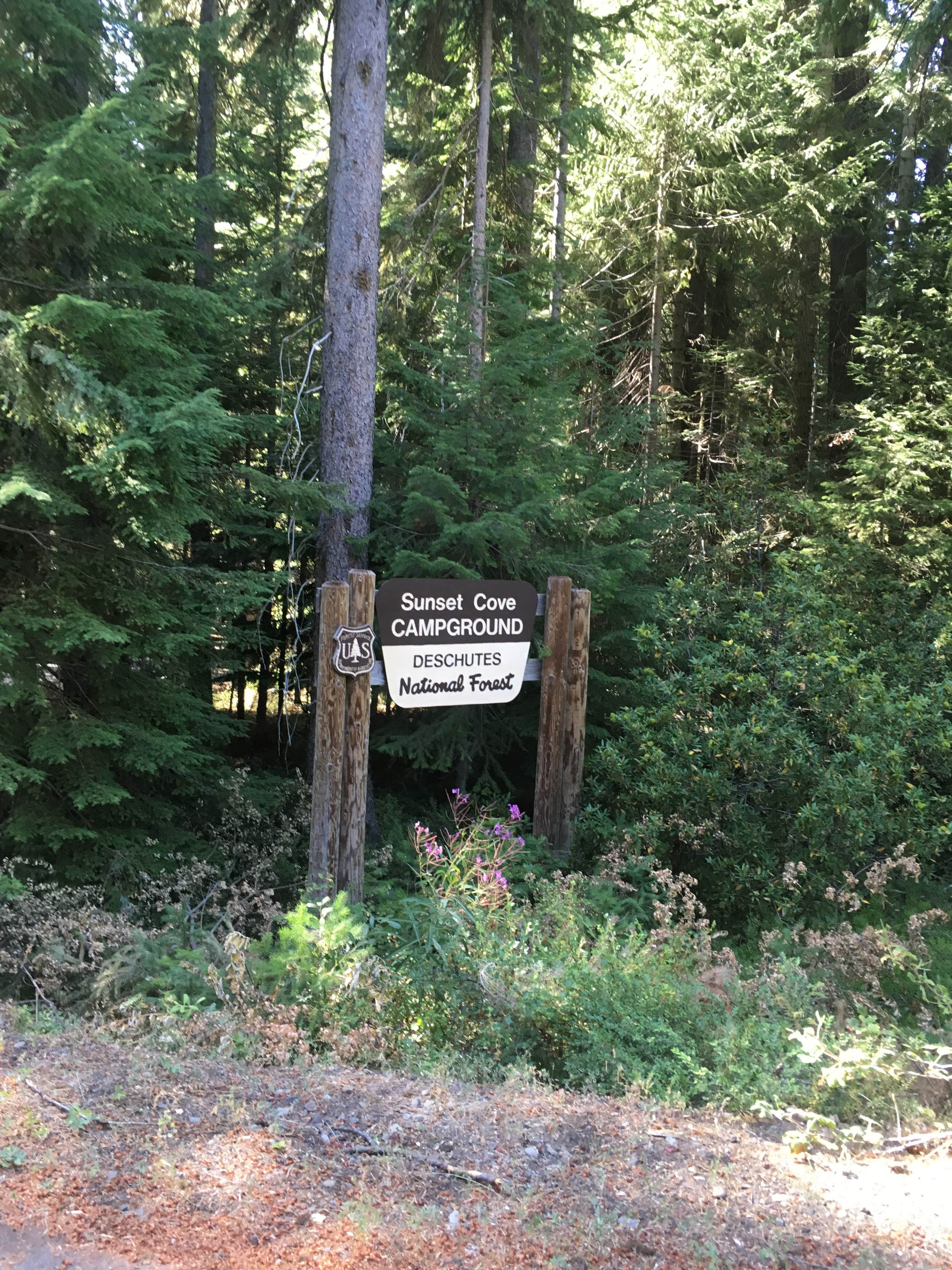 shady-cove-campground-the-dyrt