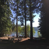 Review photo of Shady Cove Campground by Kelly N., August 22, 2018