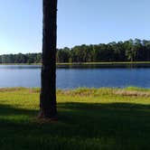 Review photo of Open Pond Recreation Area by Suzanne Z., August 22, 2018