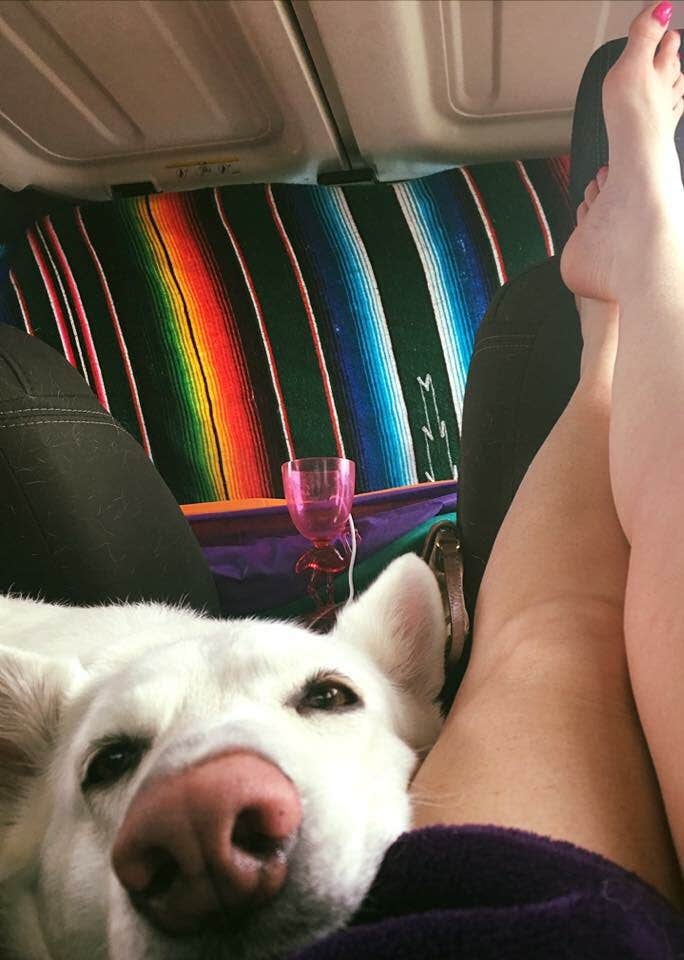 Tina H.'s photo of camping with pets at Mustang Island State Park Campground near Padre Island National Seashore