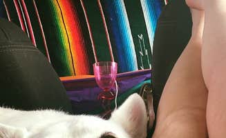 Tina H.'s photo of camping with pets at Mustang Island State Park Campground near Padre Island National Seashore