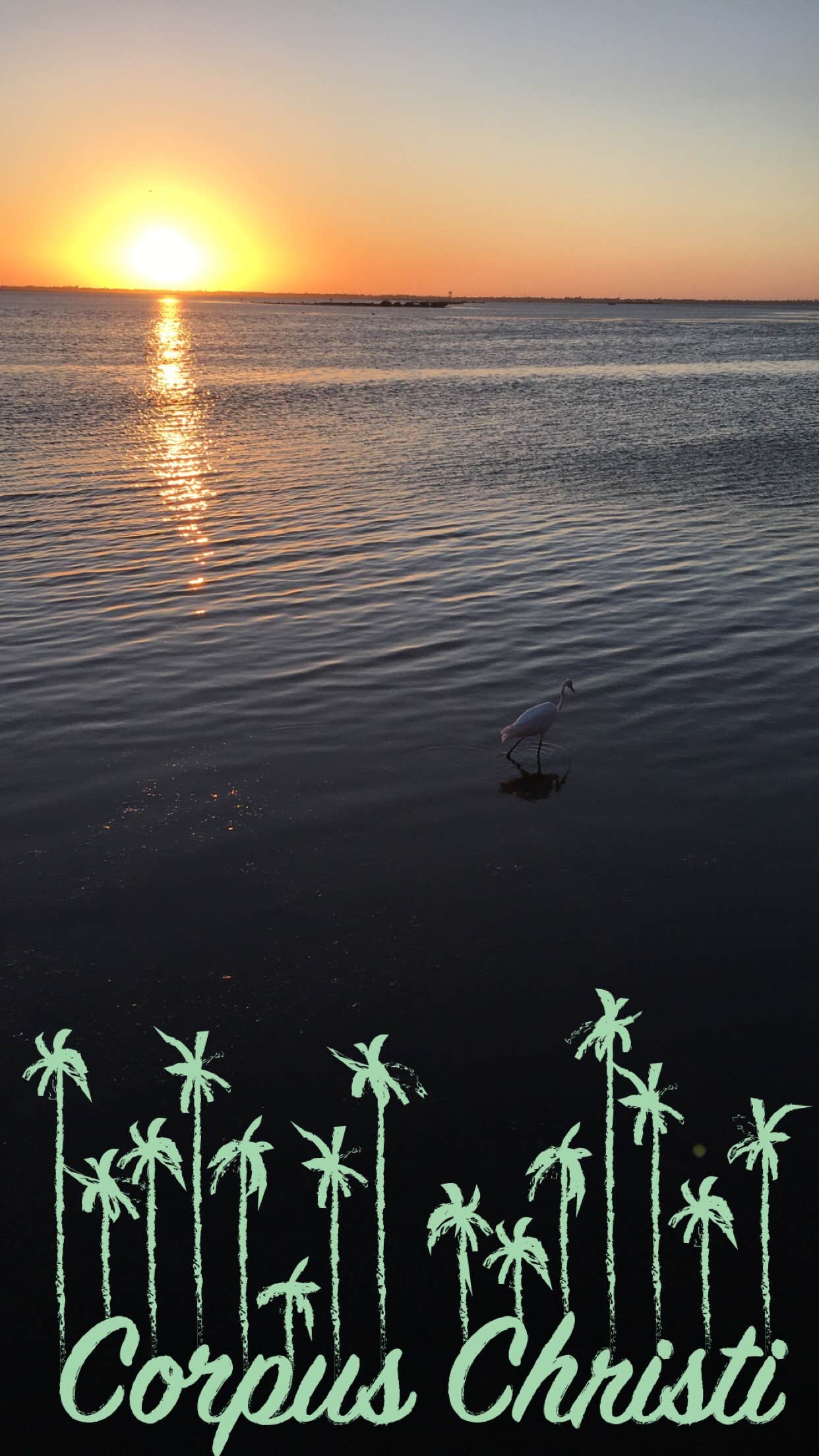 Camper-submitted photo at Mustang Island State Park Campground near Mathis, TX