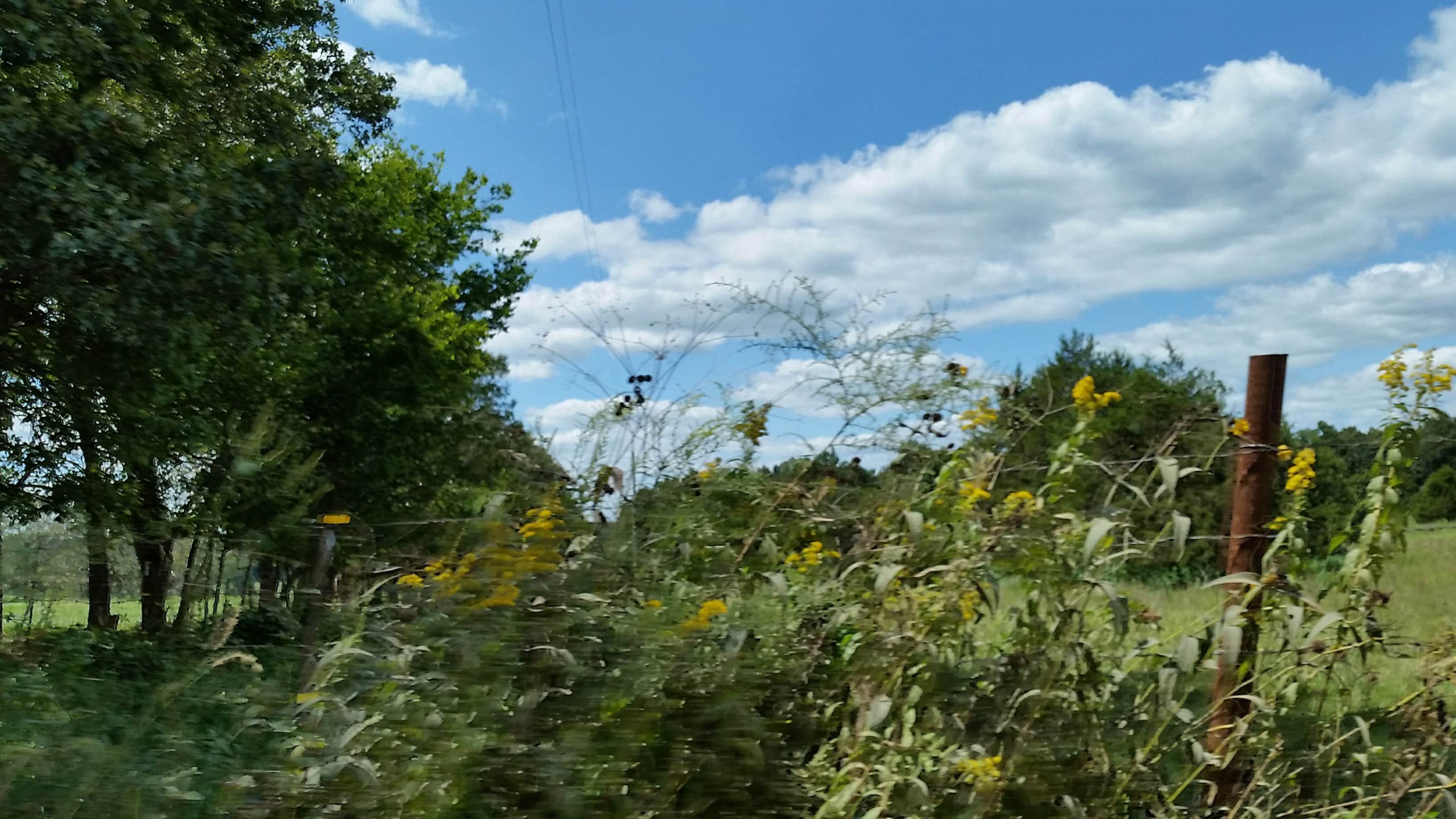 Camper-submitted photo at Cane Bluff River Access near Hartshorn, MO