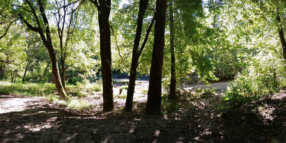 Cane Bluff River Access Camping | Alton, Missouri