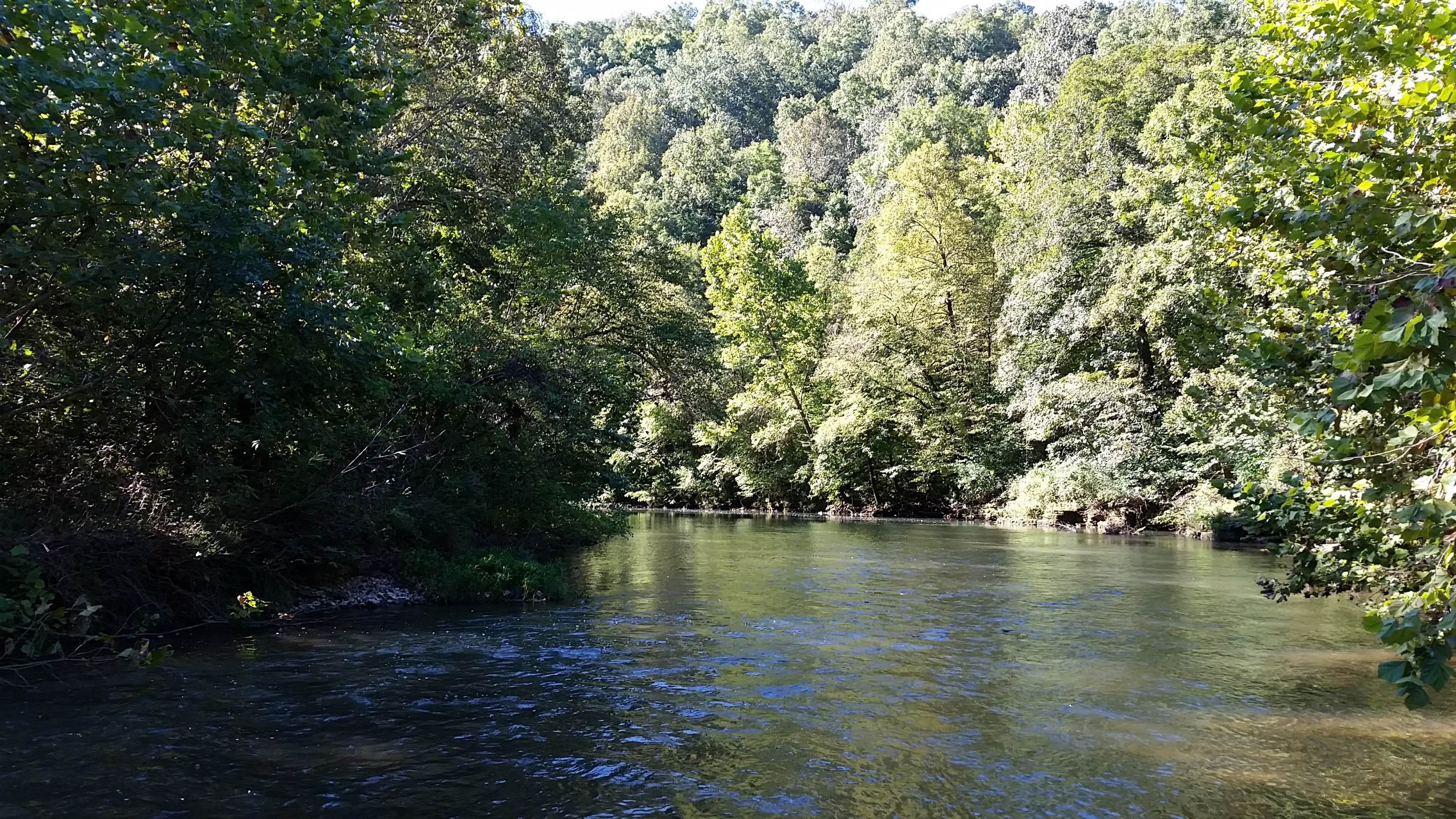 Camper-submitted photo at Cane Bluff River Access near Hartshorn, MO