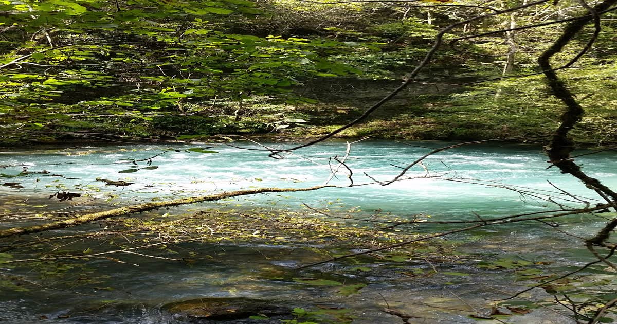 Cane Bluff River Access Camping | Alton, Missouri