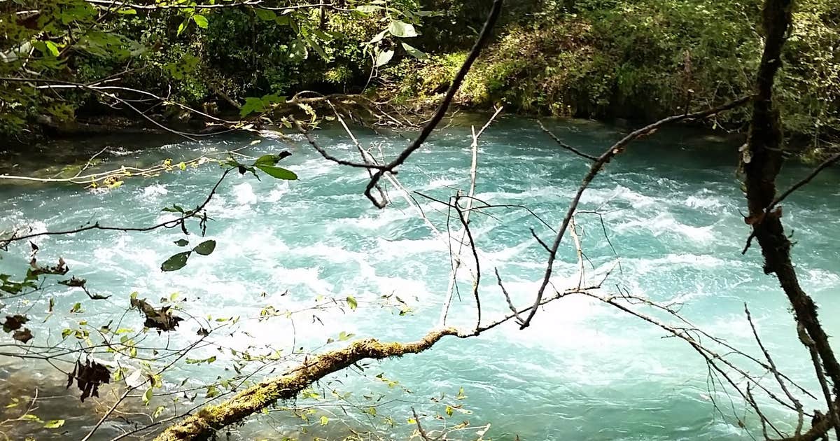 Cane Bluff River Access Camping | Alton, Missouri
