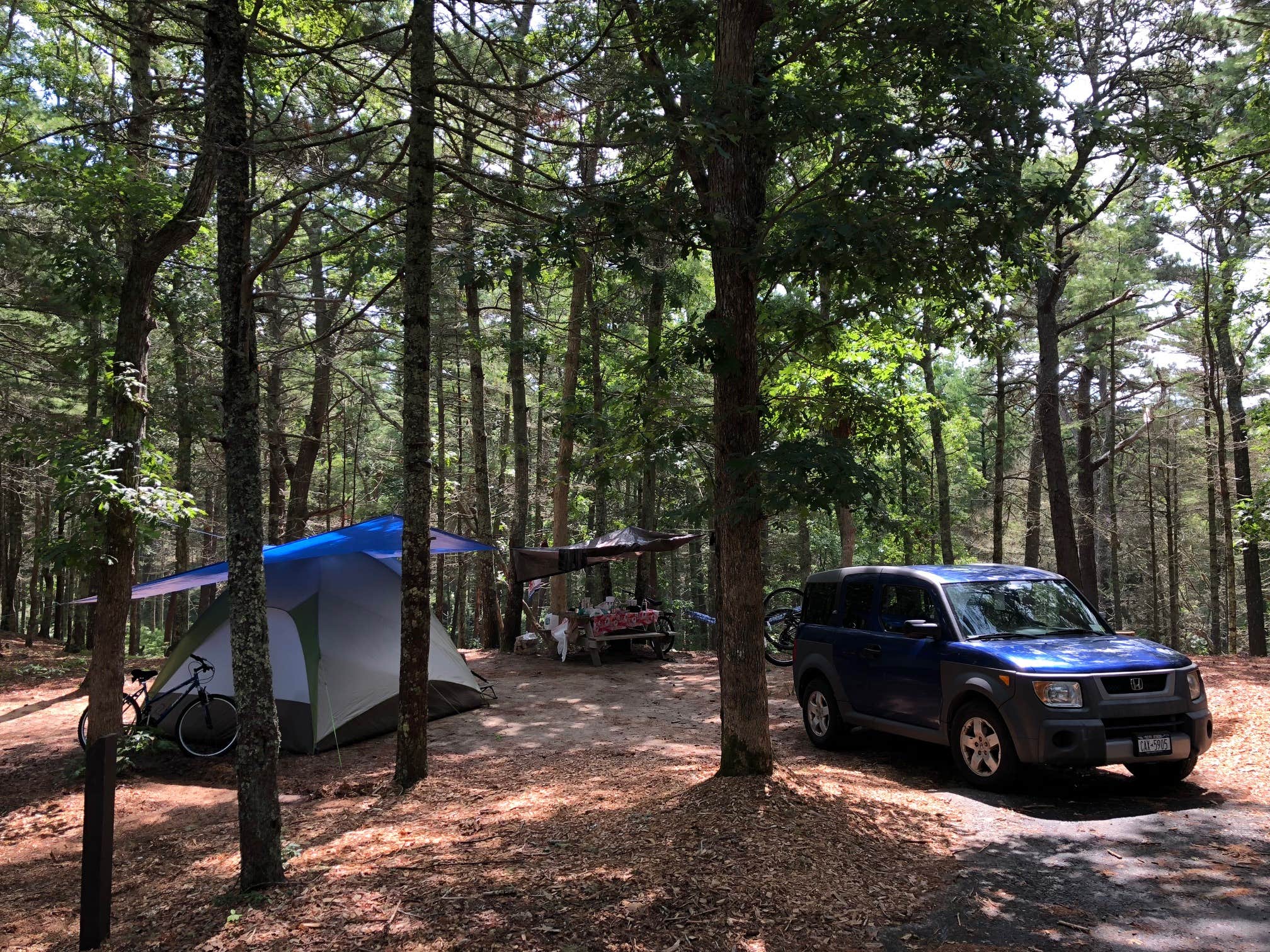phil Y.'s photo at Nickerson State Park Campground near South Wellfleet, MA