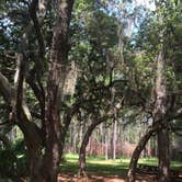 Review photo of Seminole State Forest - Oaks Camp by Billy A., June 30, 2015
