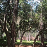 Review photo of Seminole State Forest - Oaks Camp by Billy A., June 30, 2015