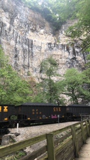 Train at the Tunnel