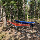 Review photo of Wharton State Forest Mullica Campground by Rebecca S., August 22, 2018