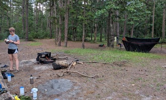 Camping near Godfrey Bridge — Wharton State Forest: Mullica River — Wharton State Forest, Hammonton, New Jersey