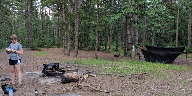 Camper submitted image from Mullica River — Wharton State Forest