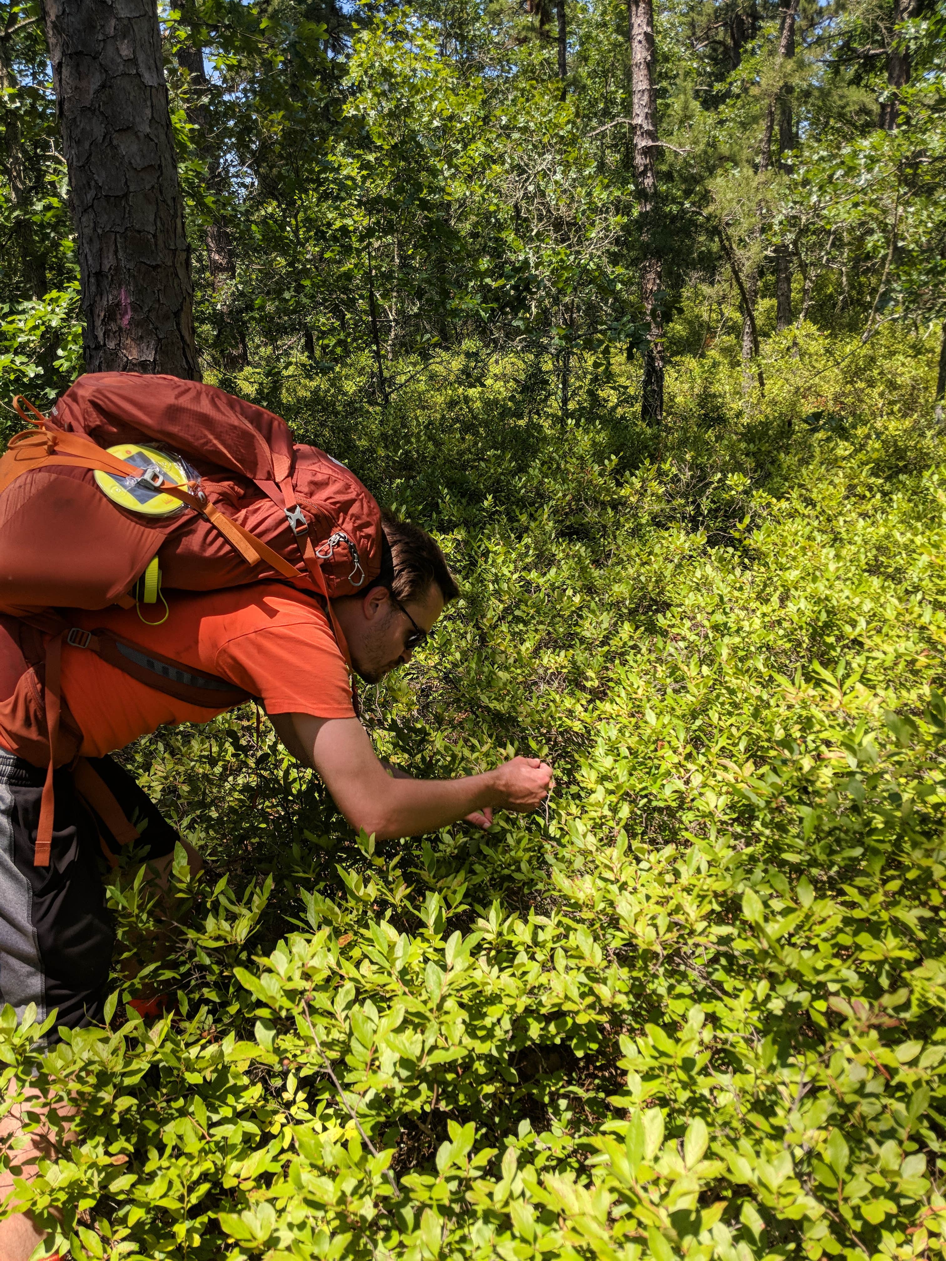 Camper-submitted photo at Mullica River — Wharton State Forest near Hammonton, NJ