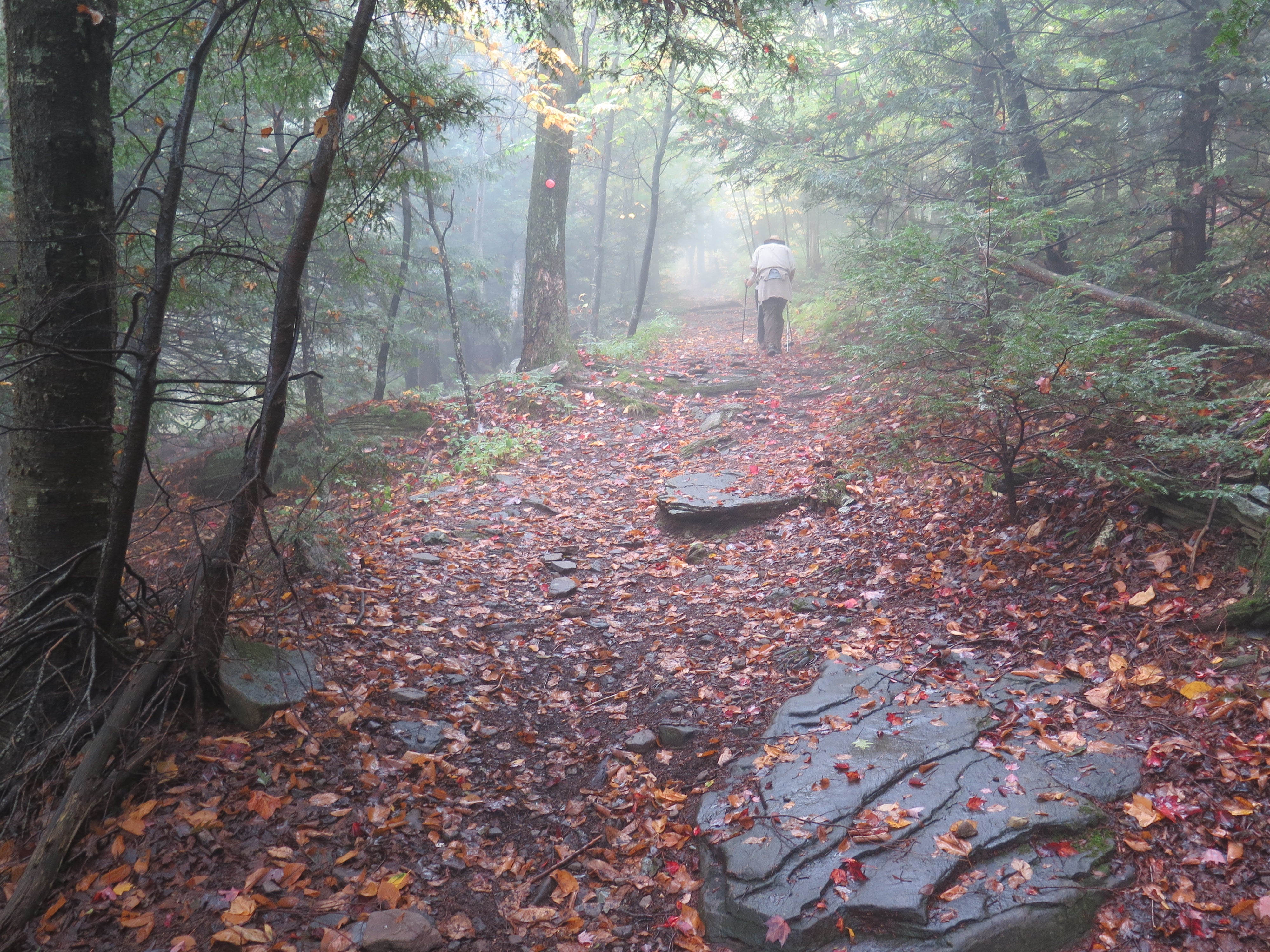 Misty hiking. 