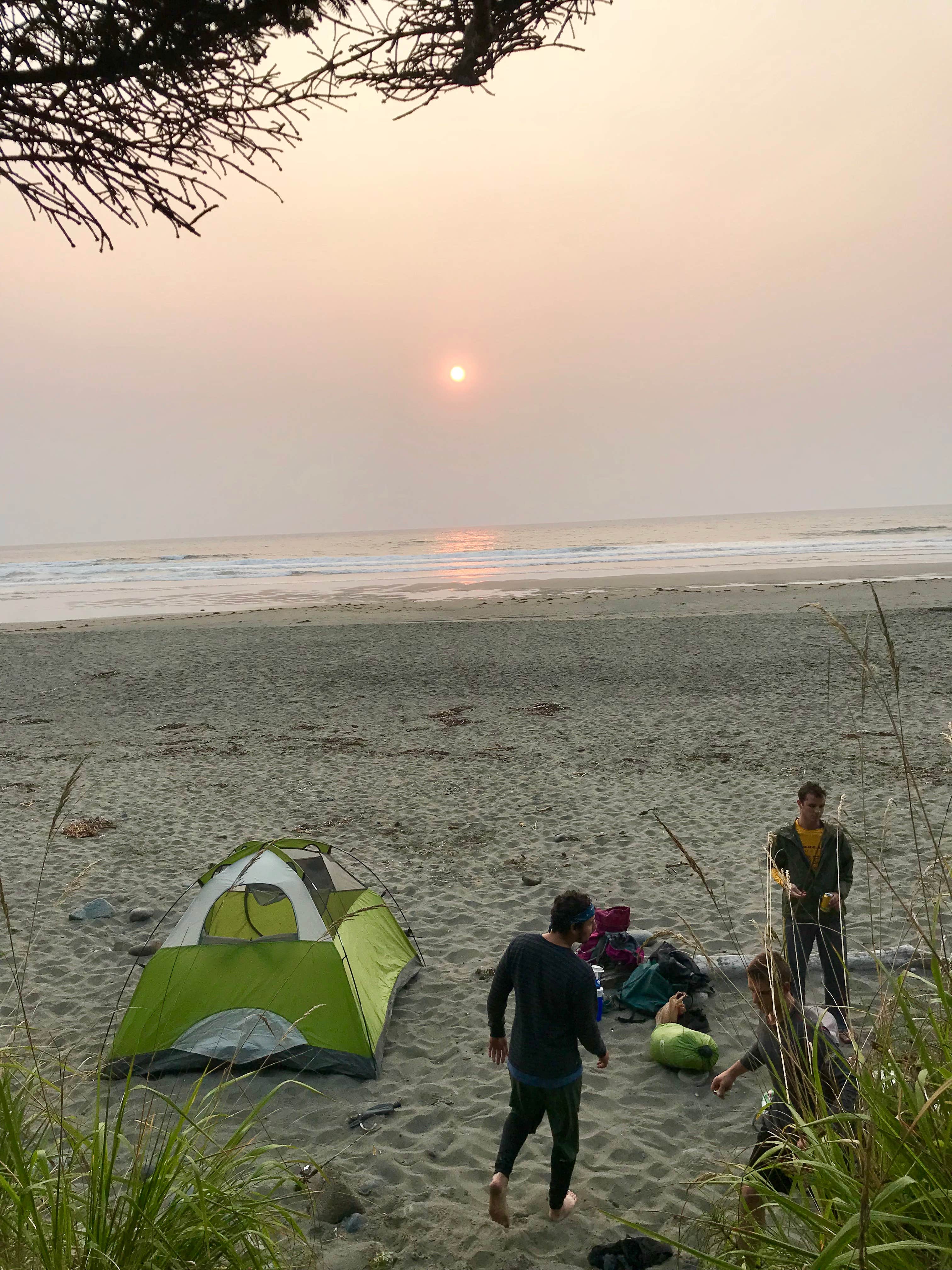Molly Y.'s photo of tent camping at Shi Shi Beach — Olympic National Park near La Push, WA