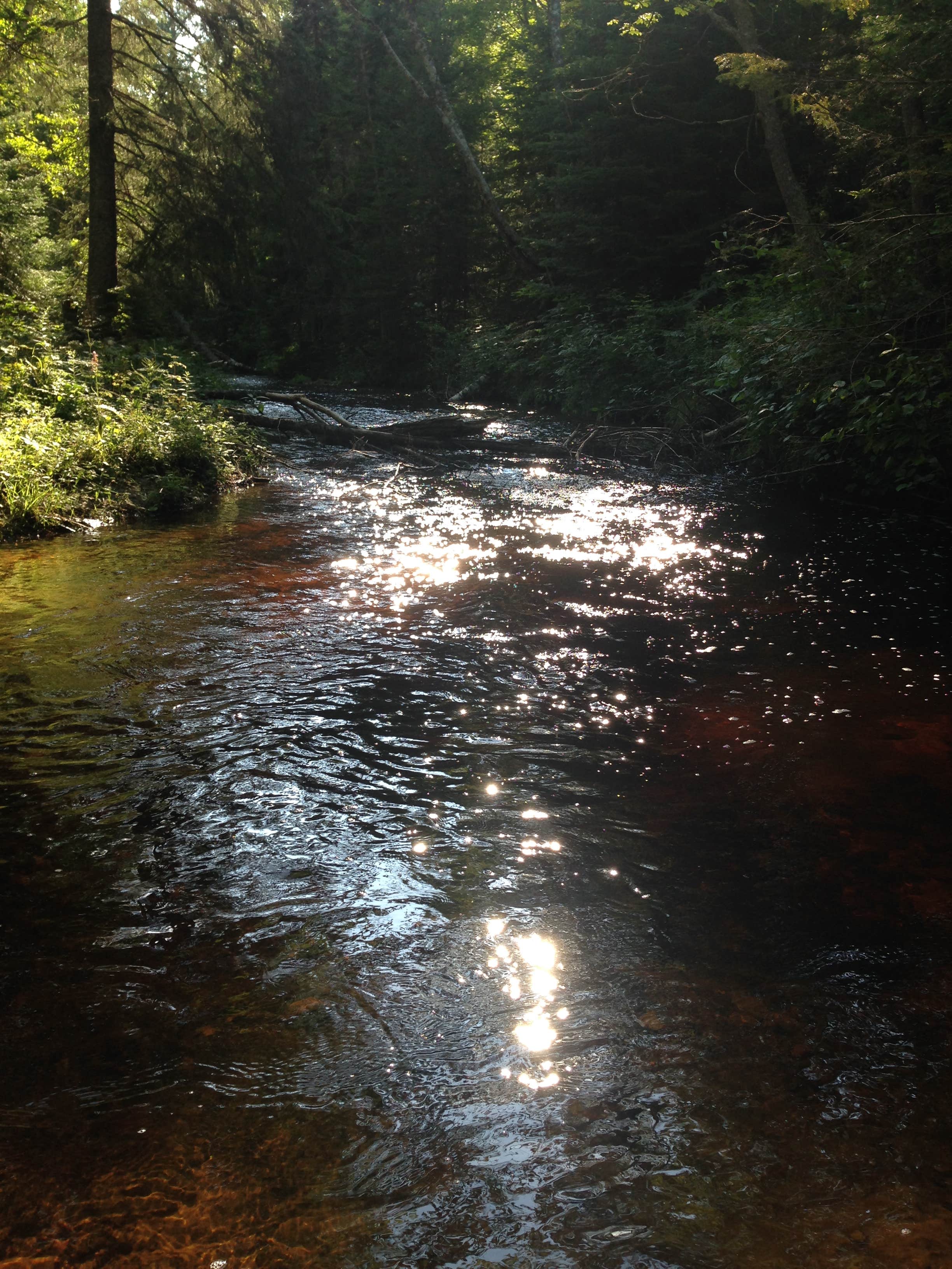 Camper-submitted photo at Chapel Beach Backcountry Campsites — Pictured Rocks National Lakeshore near Pictured Rocks National Park