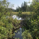 Review photo of BWCA Elephant Lake by TyAnn J., August 22, 2018