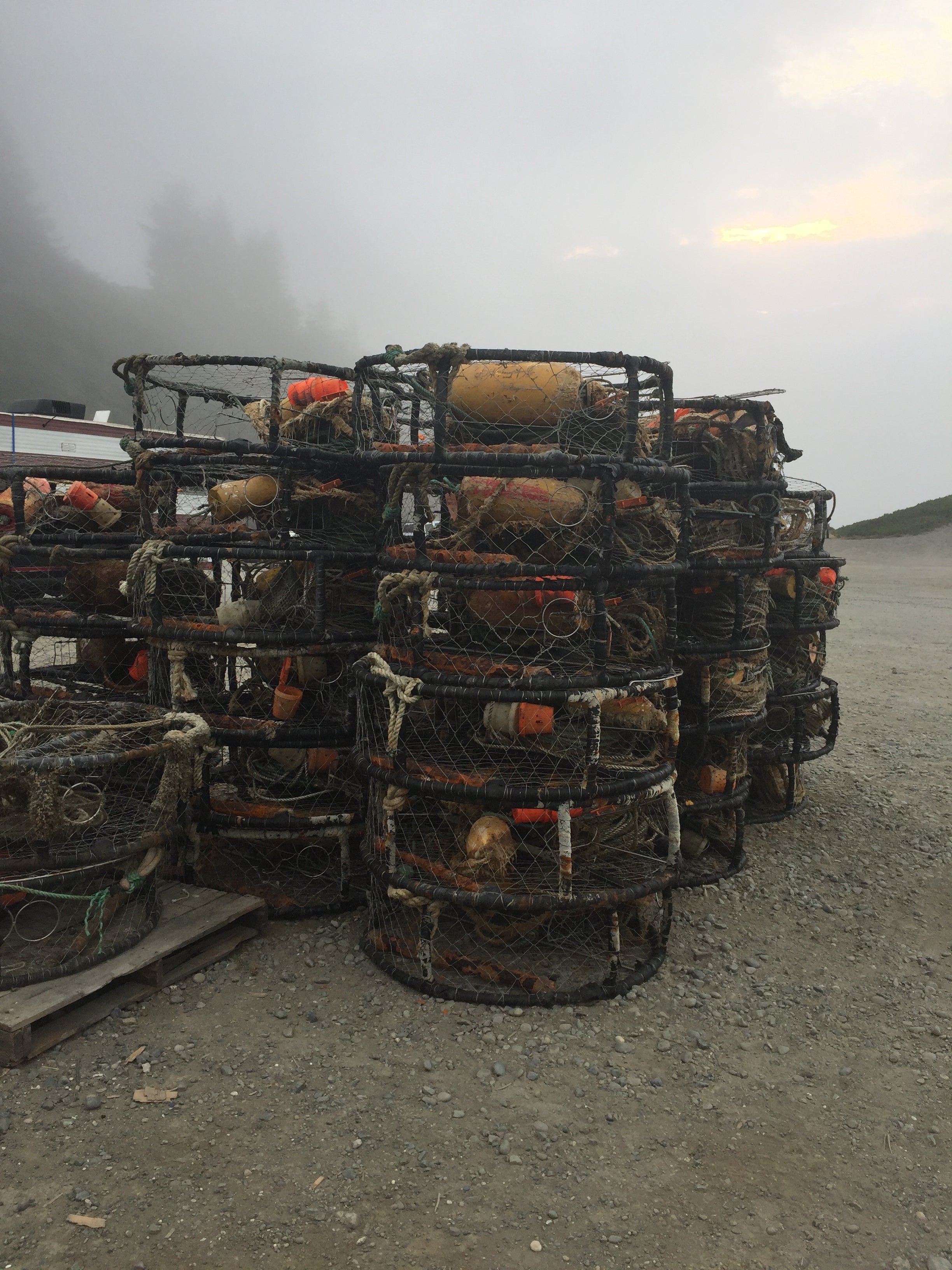 Crab traps down in the bay area