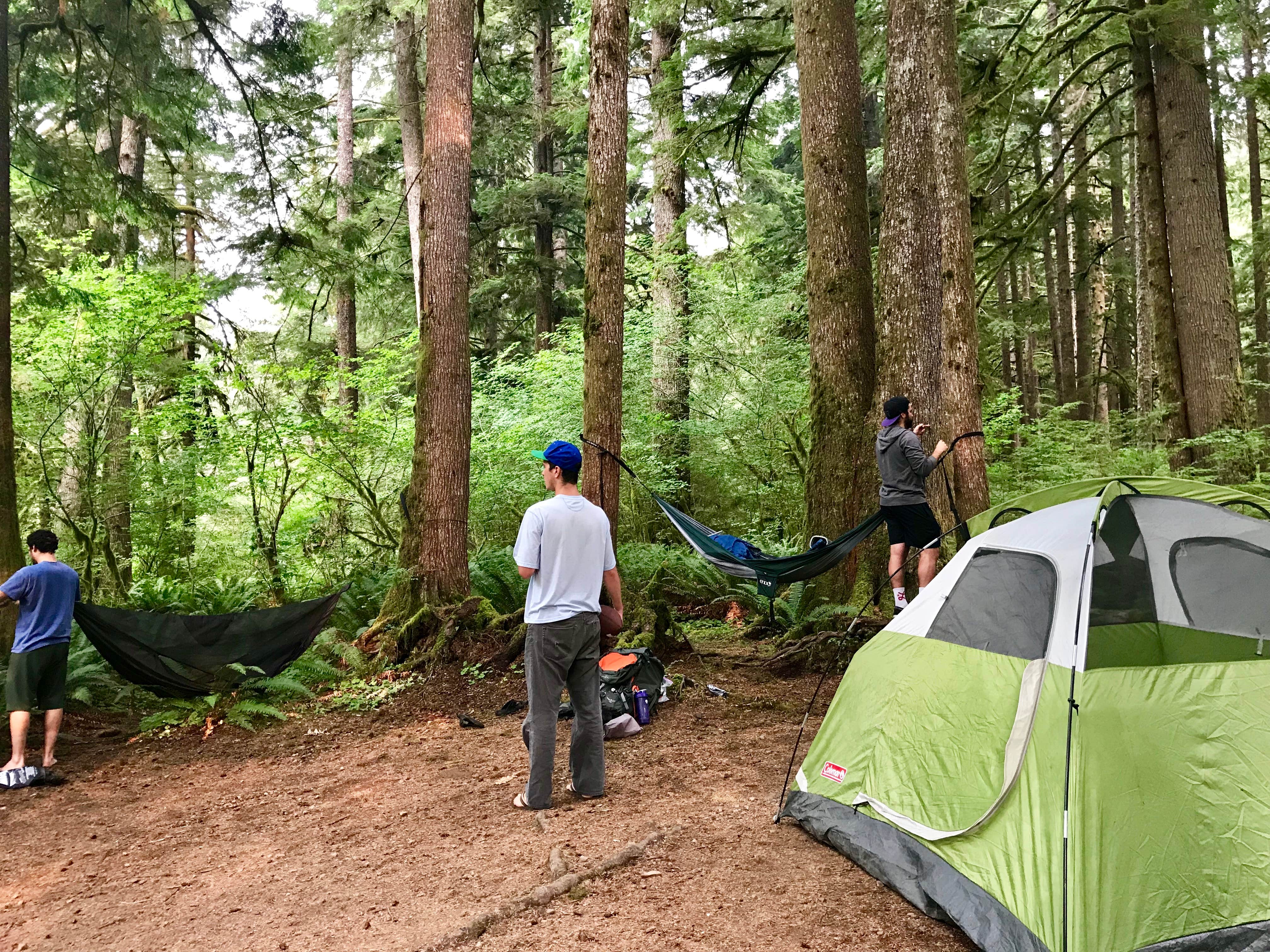 Camper submitted image from Klahowya Campground - 3