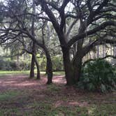 Review photo of Seminole State Forest - Oaks Camp by Billy A., June 30, 2015