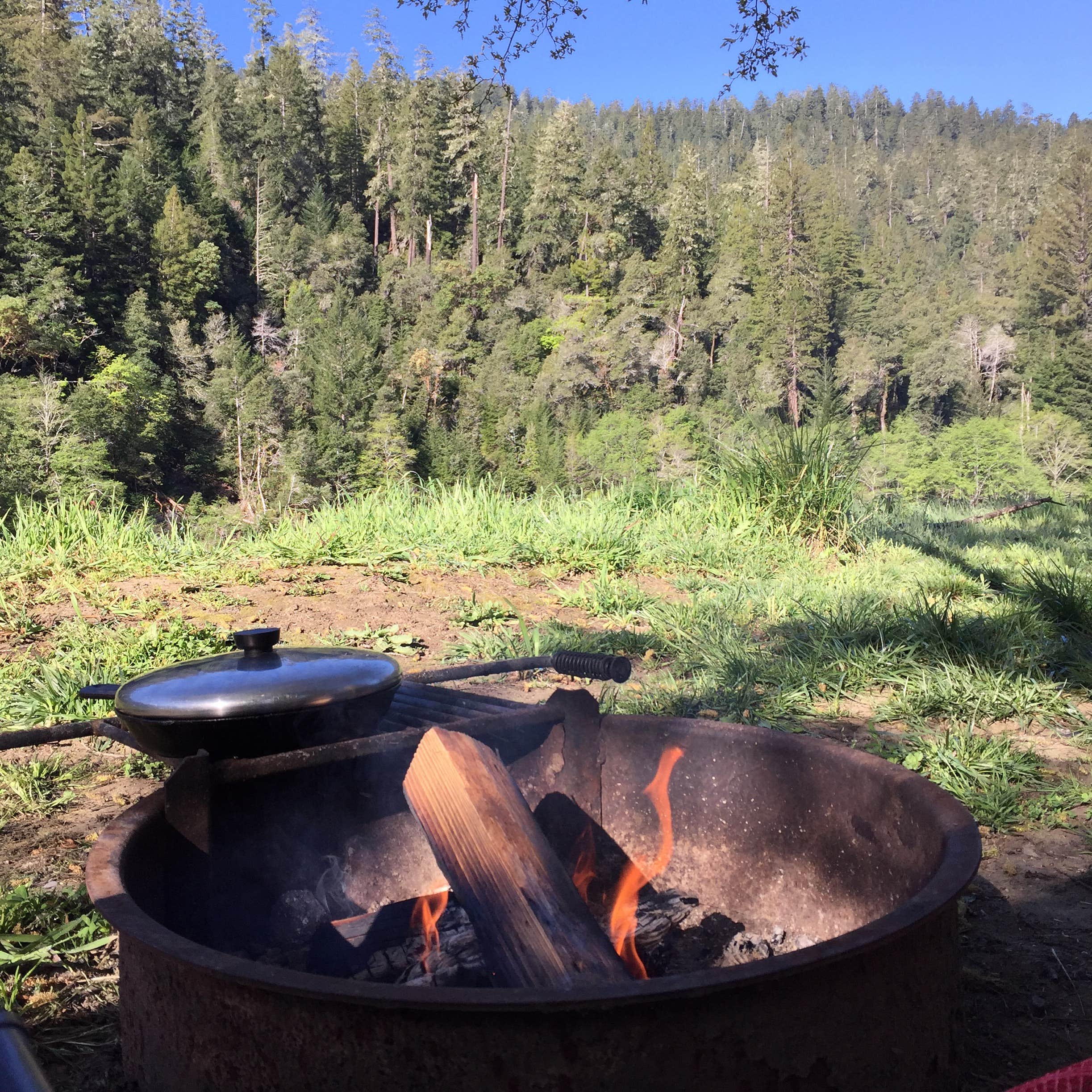 Camper submitted image from Giant Redwoods RV & Cabin Destination - 3